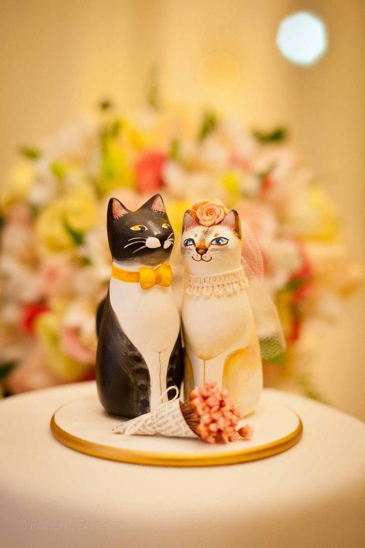 Свадьба в кошачьем стиле