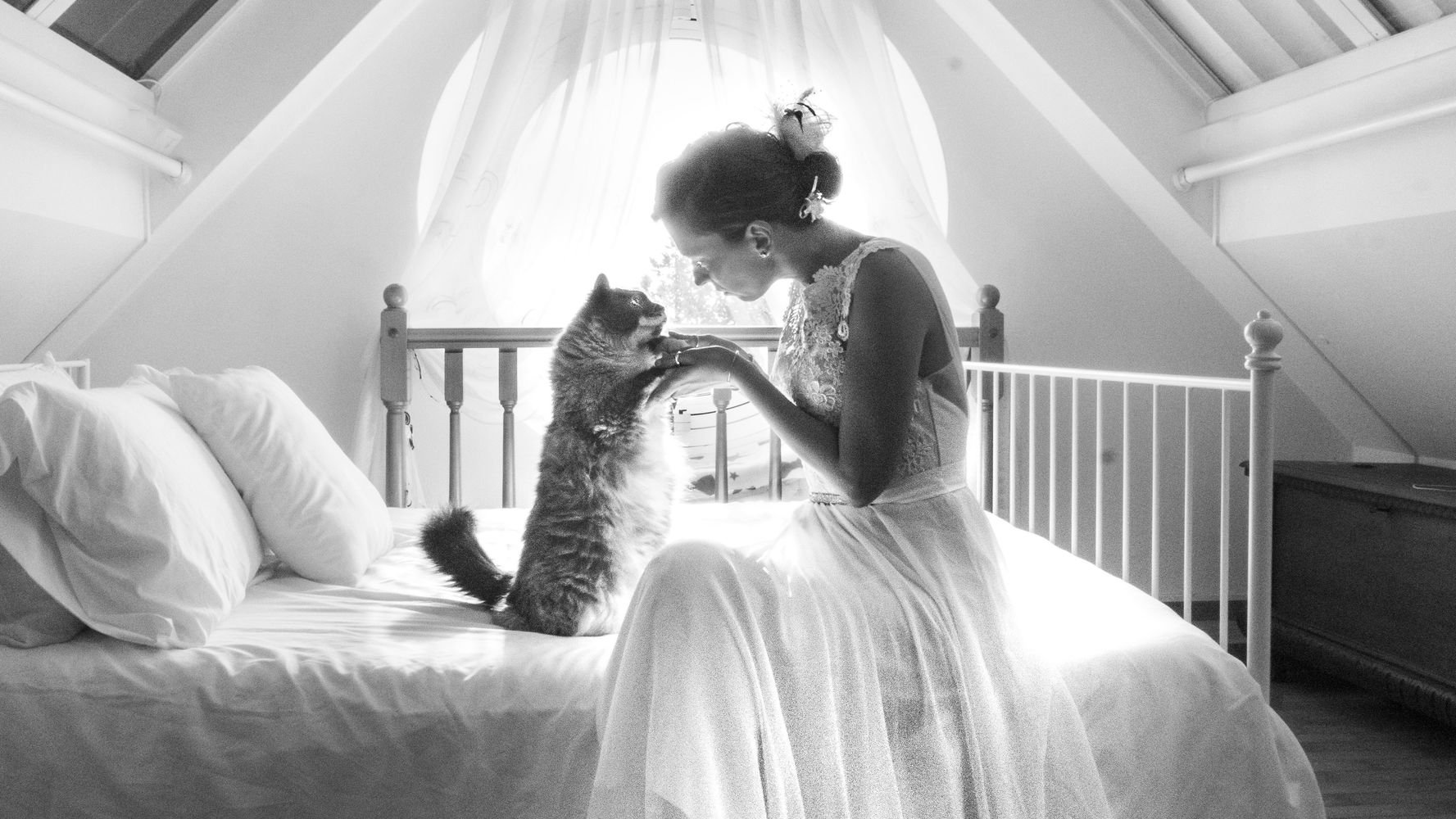 Свадебная фотосессия с котом