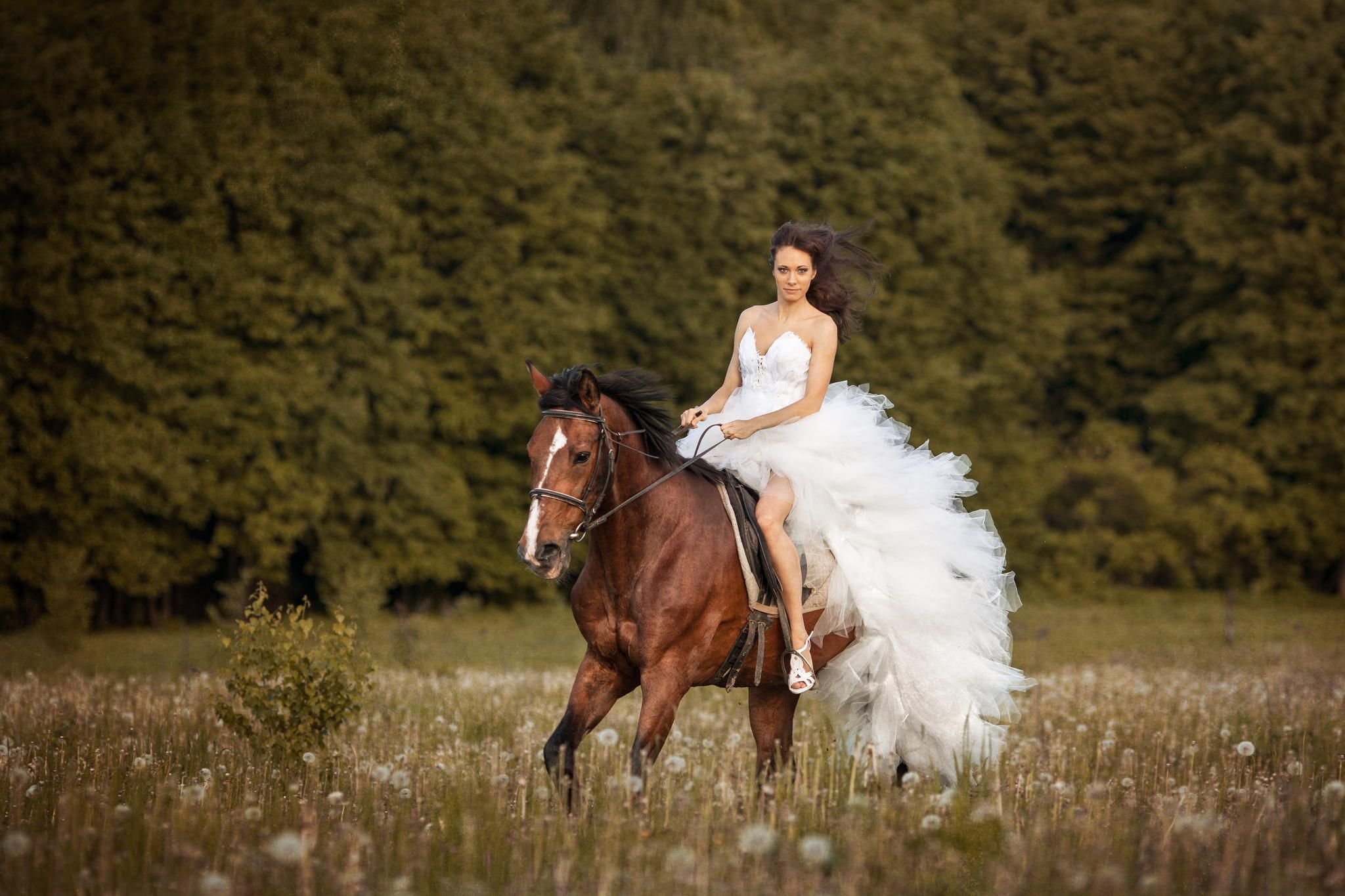 Невеста на лошади