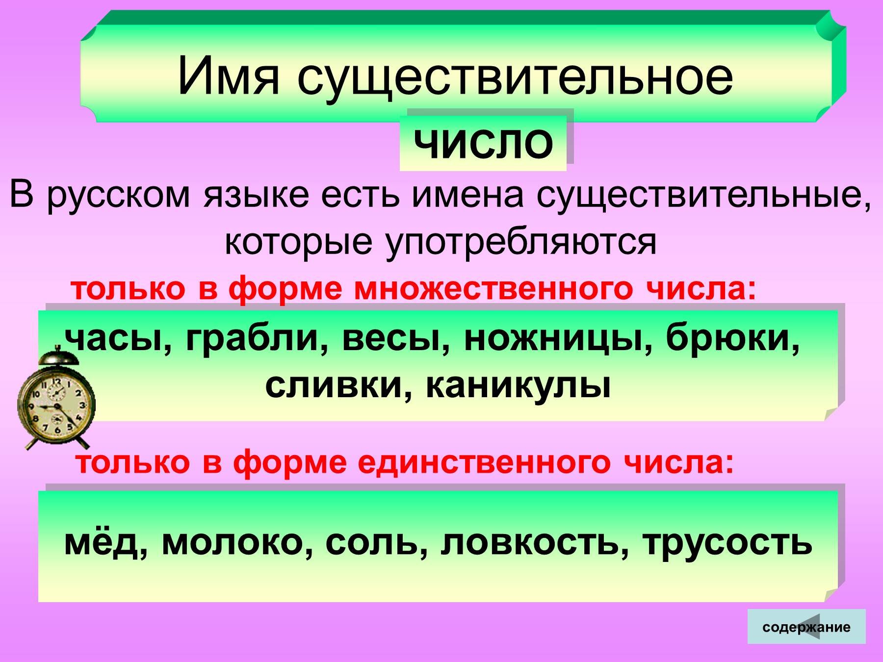 Составленные группы имен существительных. Чимслоимен существительных. Число имен существительных. Имена существительные единственного и множественного числа. Числа имен существительных в русском языке.