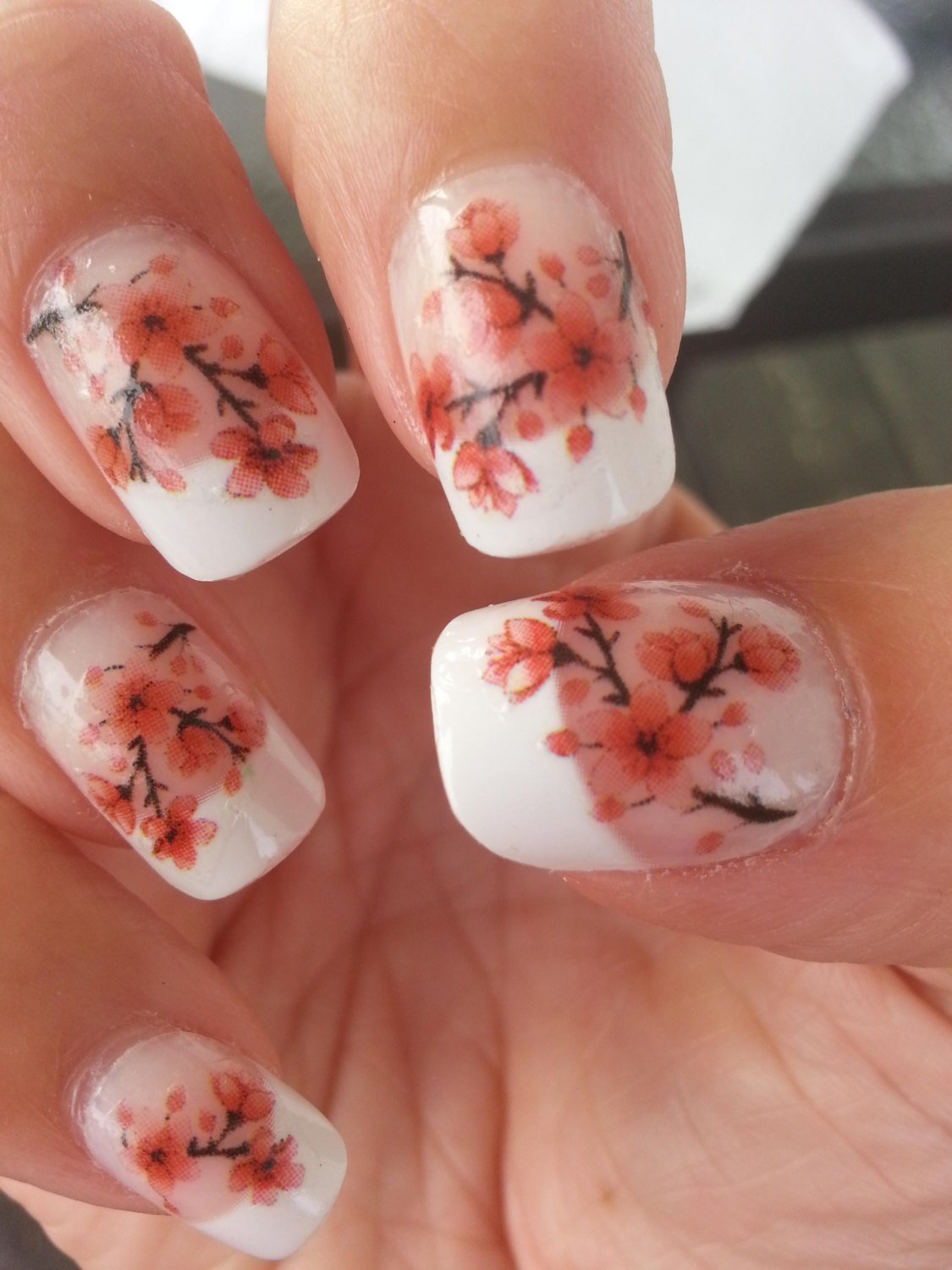 Сакура на ногтях. Цветы Сакуры на ногтях. Сухоцветы на ногтях. Маникюр с сухоцветами.
