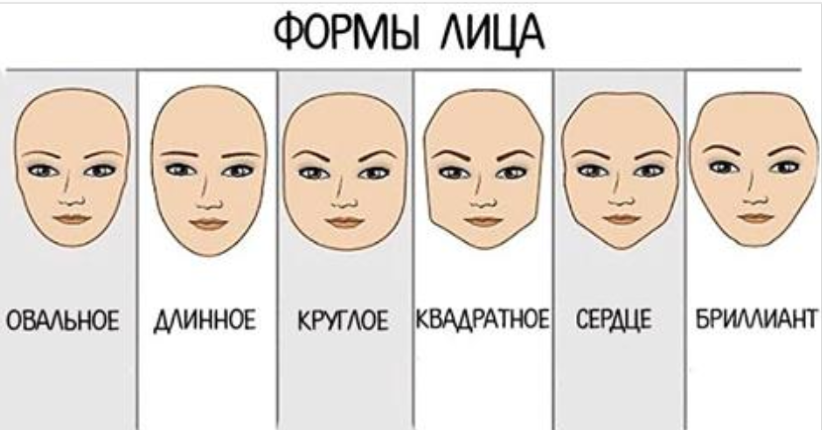 Какие выделяют формы лица. Формы лица. Типы формы лица. Овальный и круглый Тип лица. Продолговатая форма лица.