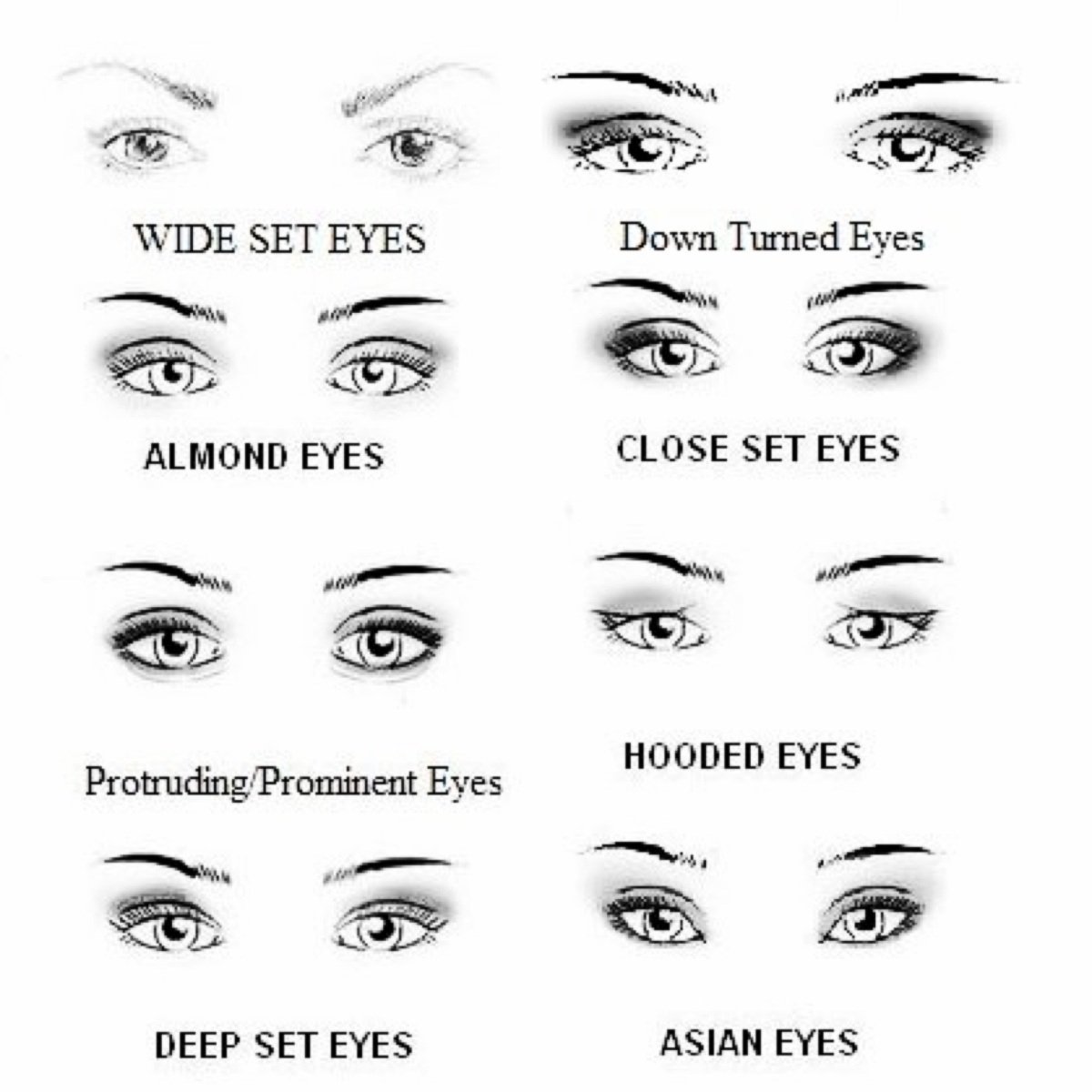Нависла какое лицо. Миндалевидные глаза формы глаз. Как определить форму глаз. Глаз в разрезе. Типы женских глаз.