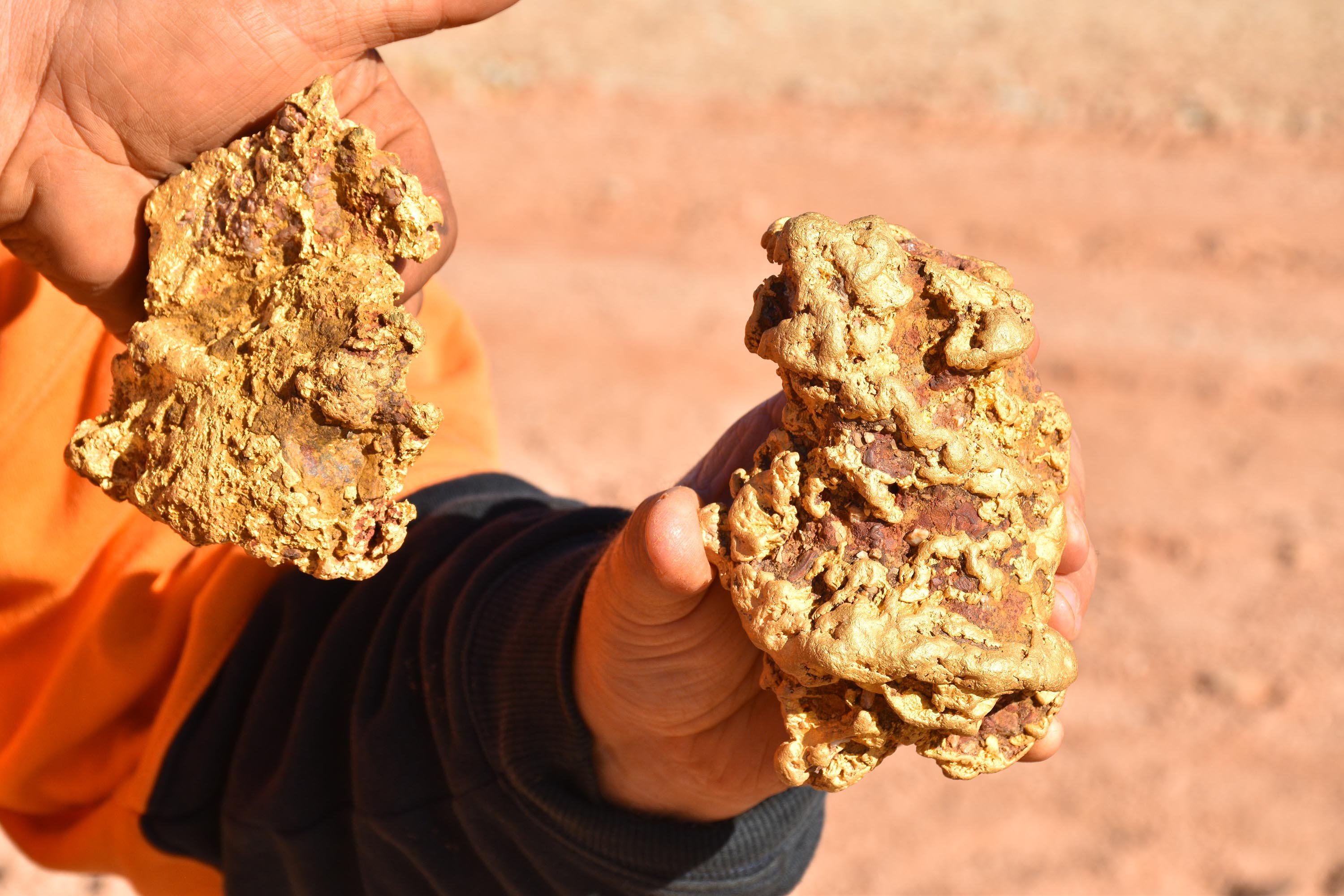 Обнаружили золотистый. Золотая лихорадка самый большой самородок золота. Золотая лихорадка в Австралии самородок. Самый большой самородок золота в Австралии. Золотые самородки золотоискатели.