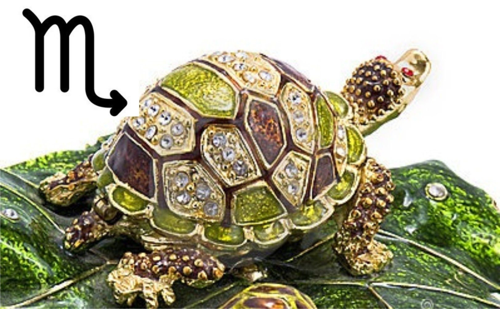 Черепаха символизирует. Черепаха символ долголетия. Черепаха фэн шуй. Талисман черепахи. Черепаха символ богатства.