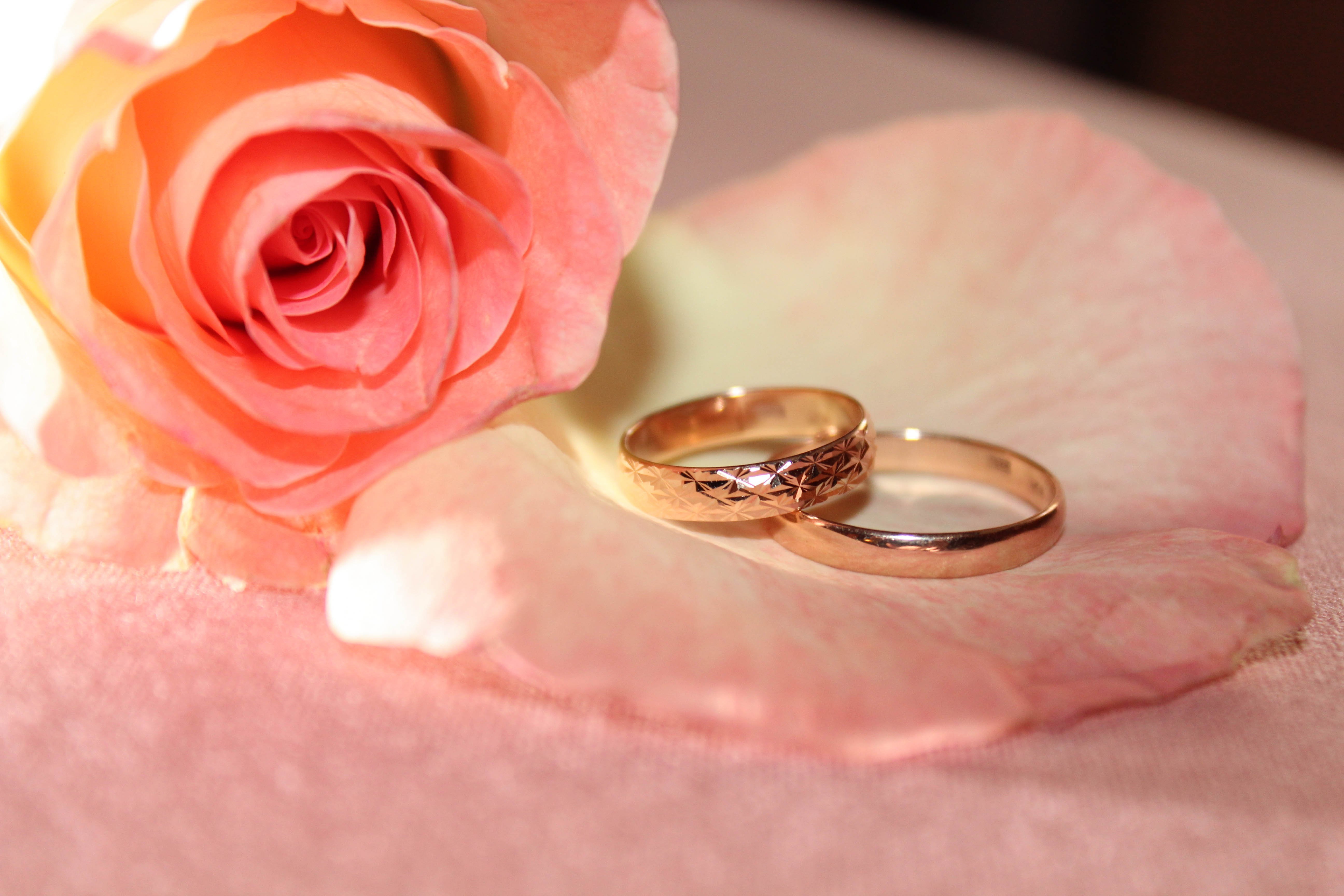 Фото кольца и цветов. Свадебные кольца. Обручальные кольца и цветы. Розовые розы с обручальными кольцами. Свадебные кольца нежные.