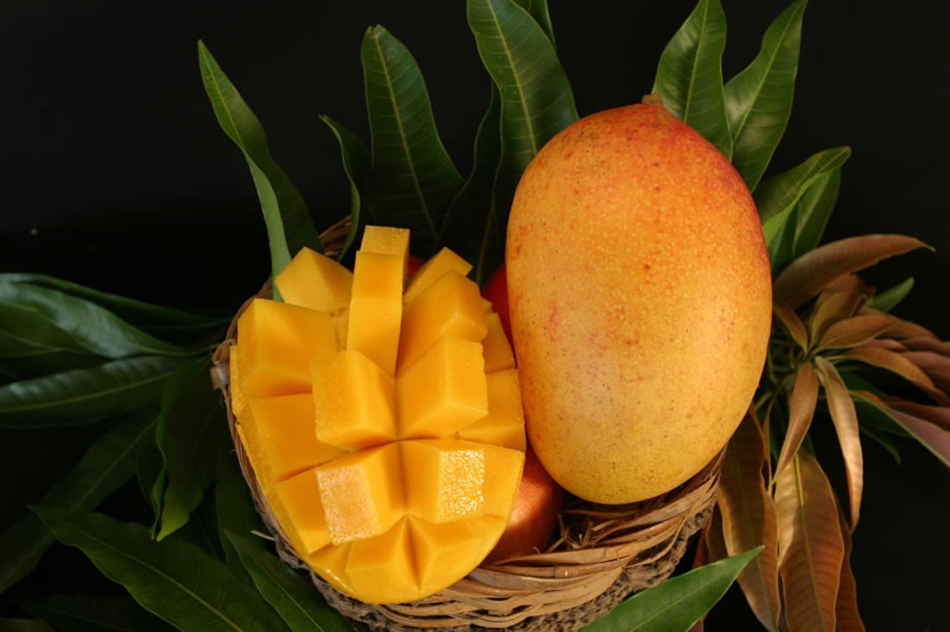 Mango. Тропические фрукты манго. Манго Королевский. Манго Бразилия. Турецкое манго.