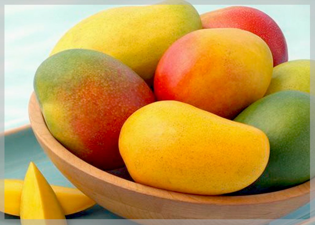 Манго фрукт полезные свойства и противопоказания. Фрукты Египта. Гибрид персика и манго. Пять манго. Гибрид персика и мандарина.