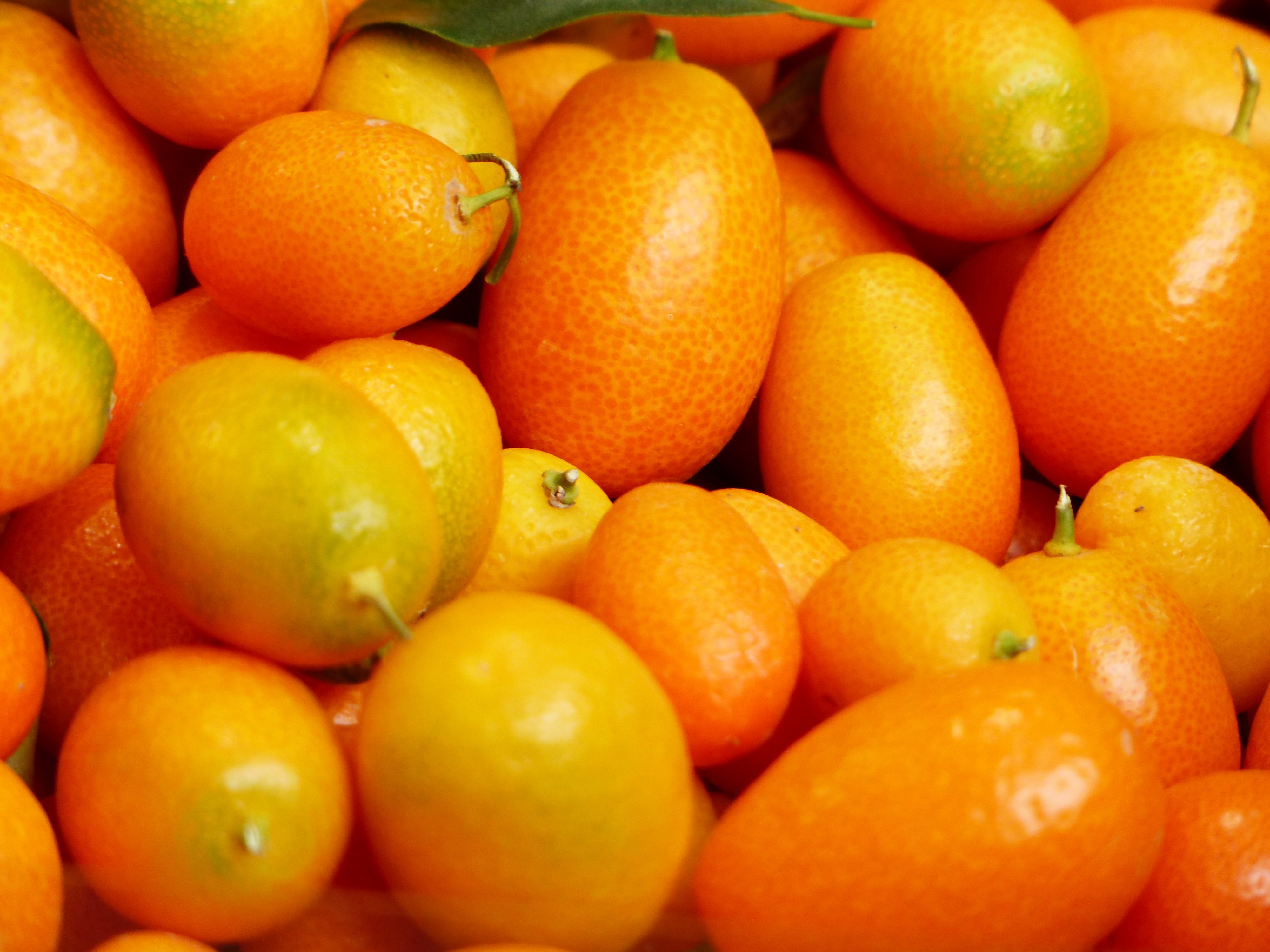 Желтые фрукты названия. Фрукт цитрус кумкват. Дикий мандарин кумкват. Кумкват маракуйя. Кумкват оранжевый.