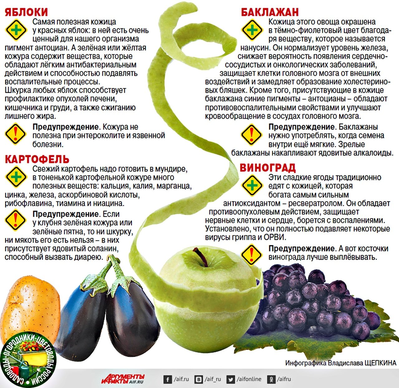 В какое время едят яблоки. Полезные овощи для организма. Полезность фруктов и овощей. Какие фрукты полезны для органов. Чем полезно есть овощи.