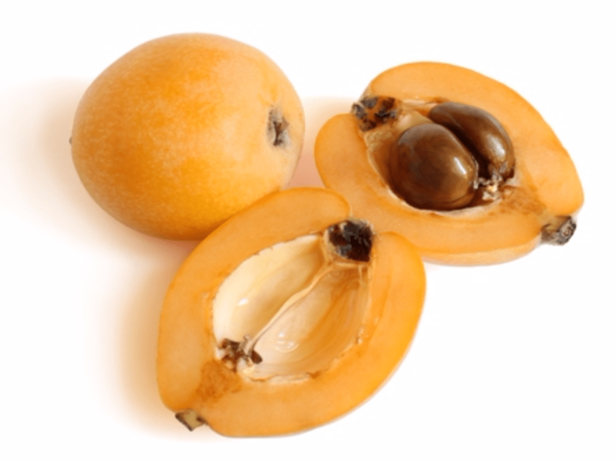 Оранжевый фрукт похожий. Мушмула тайская. Фрукт похожий на абрикос мушмула. Мушмула эриоботрия дерево. Экзотический фрукт похожий на абрикос.