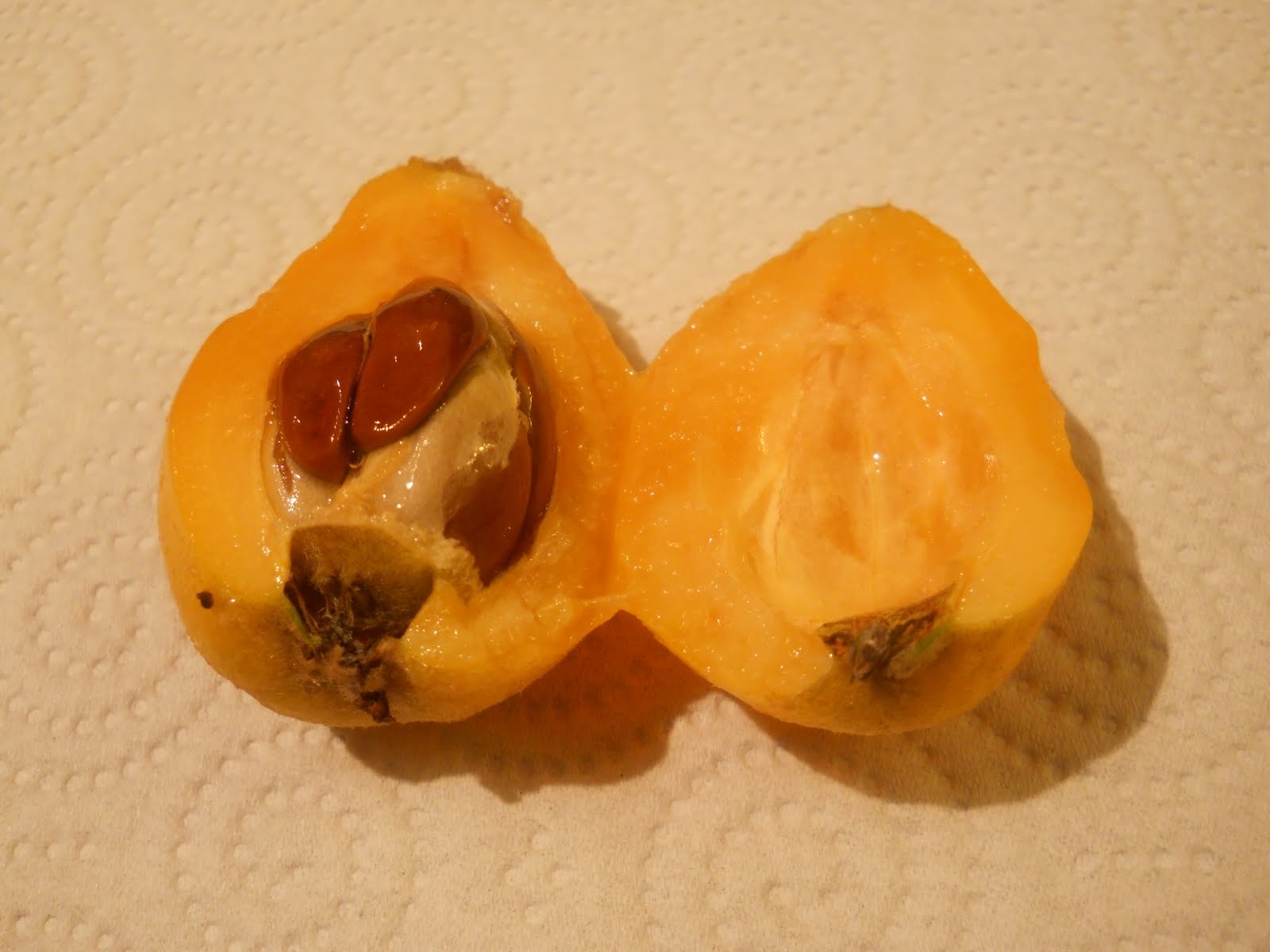 Оранжевый фрукт похожий. Мушмула Германская косточки. Фрукт желтого цвета с косточками мушмула. Мушмула и кумкват. Мушмула фрукт внутри.