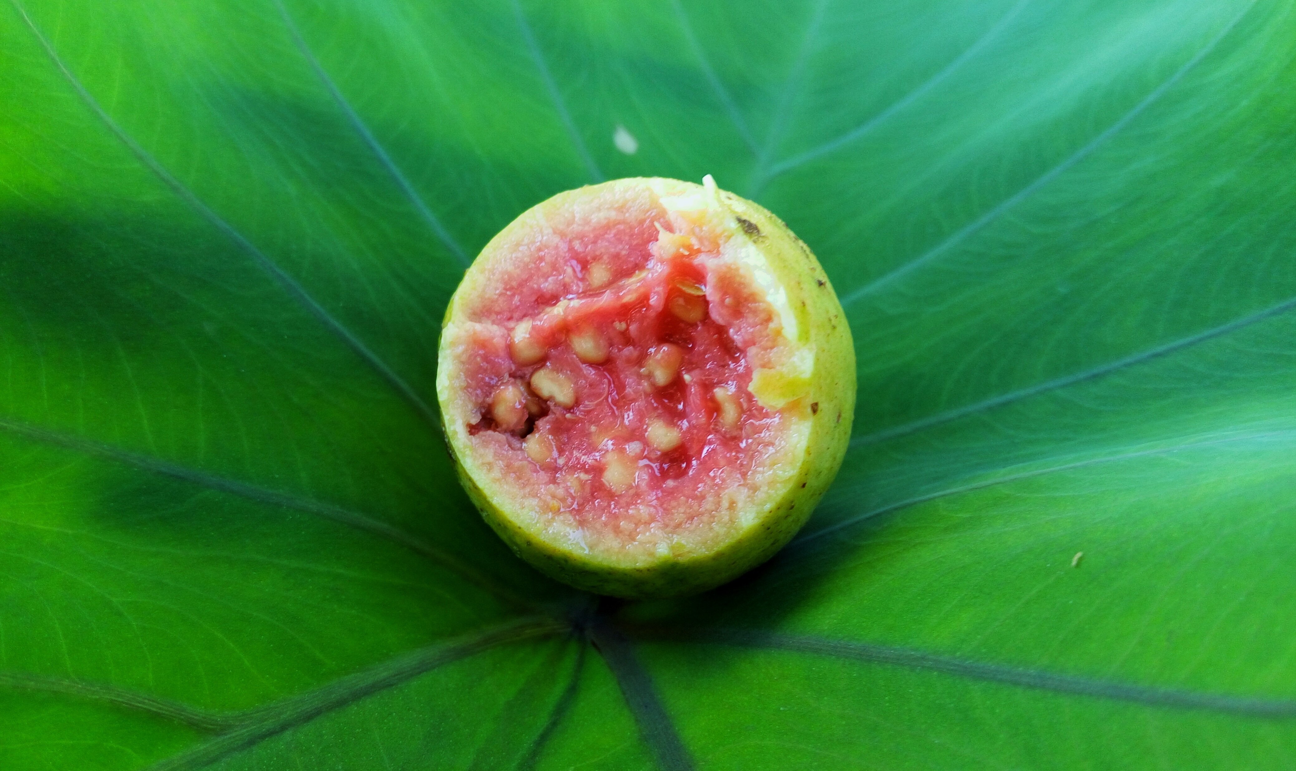 Розово зеленый фрукт