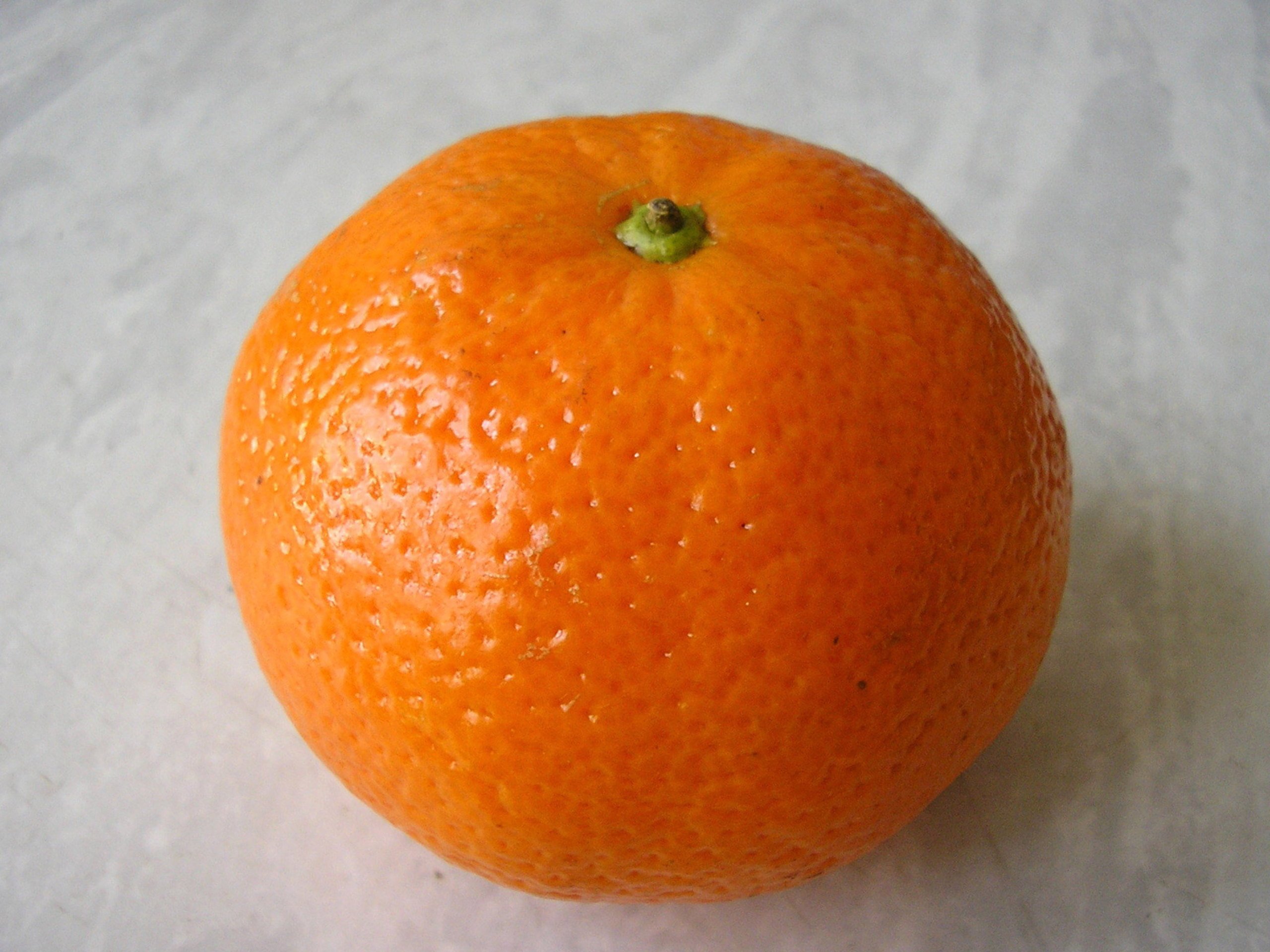 Мандарин шилова. Мандрин. Мандарин. Мандарин один. Апельсин и мандарин.