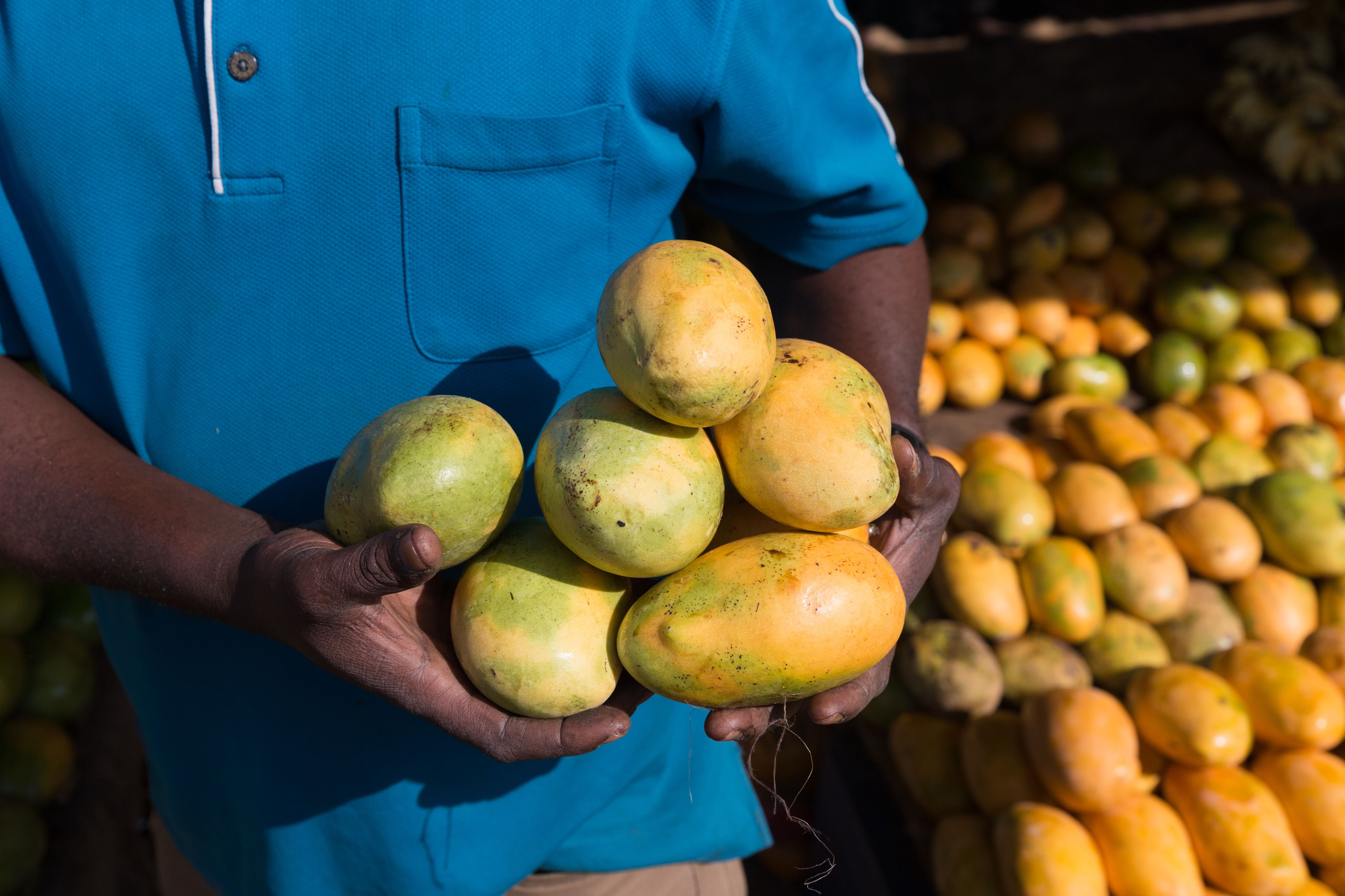 Африканские фрукты. Манго африкано. Тропические фрукты манго. Ирвингия Габонская. Манго ЮАР.