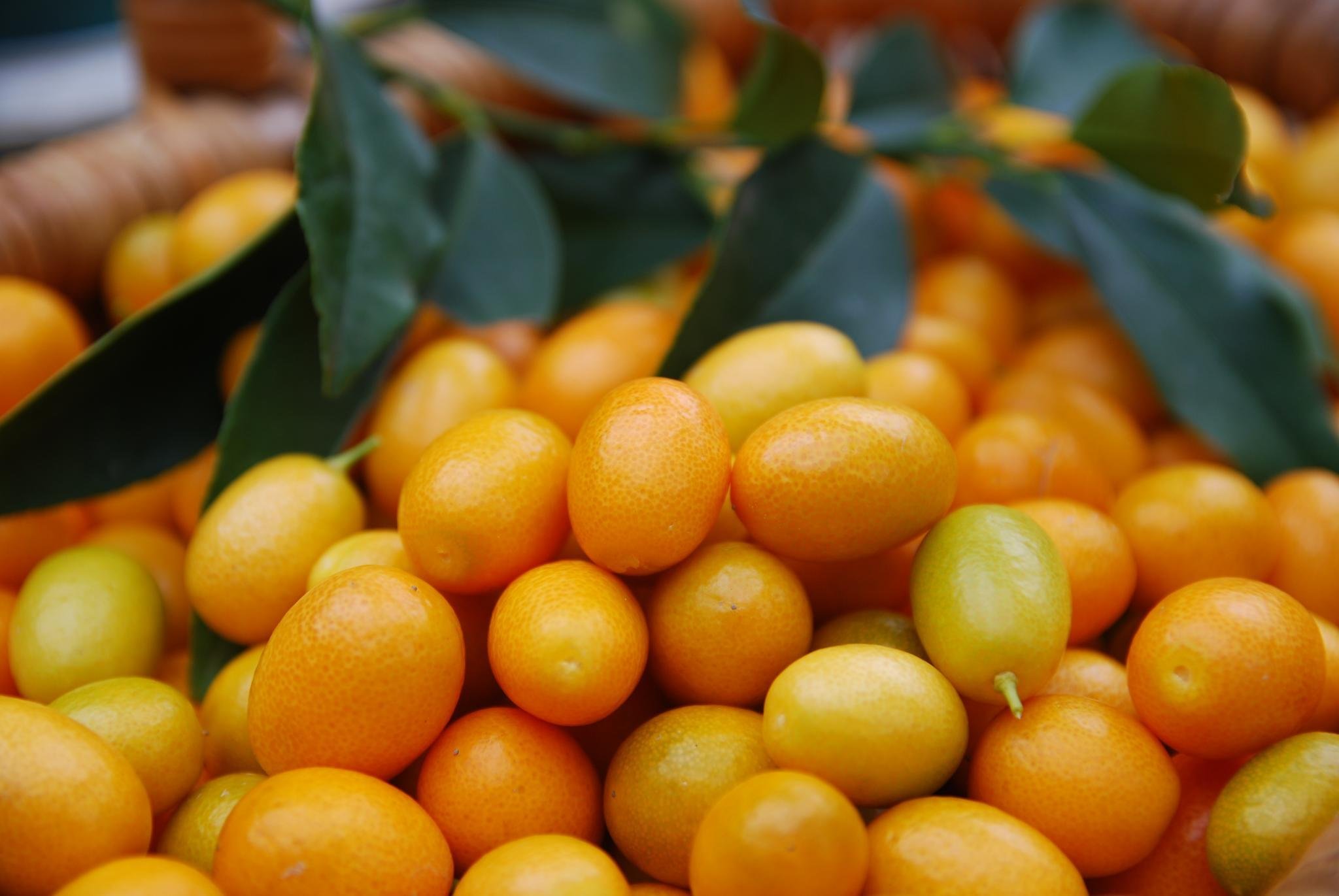 Желтые фрукты названия. Кумкват. Кумкват маракуйя. Кумкват апельсин. Японский апельсин кумкват.