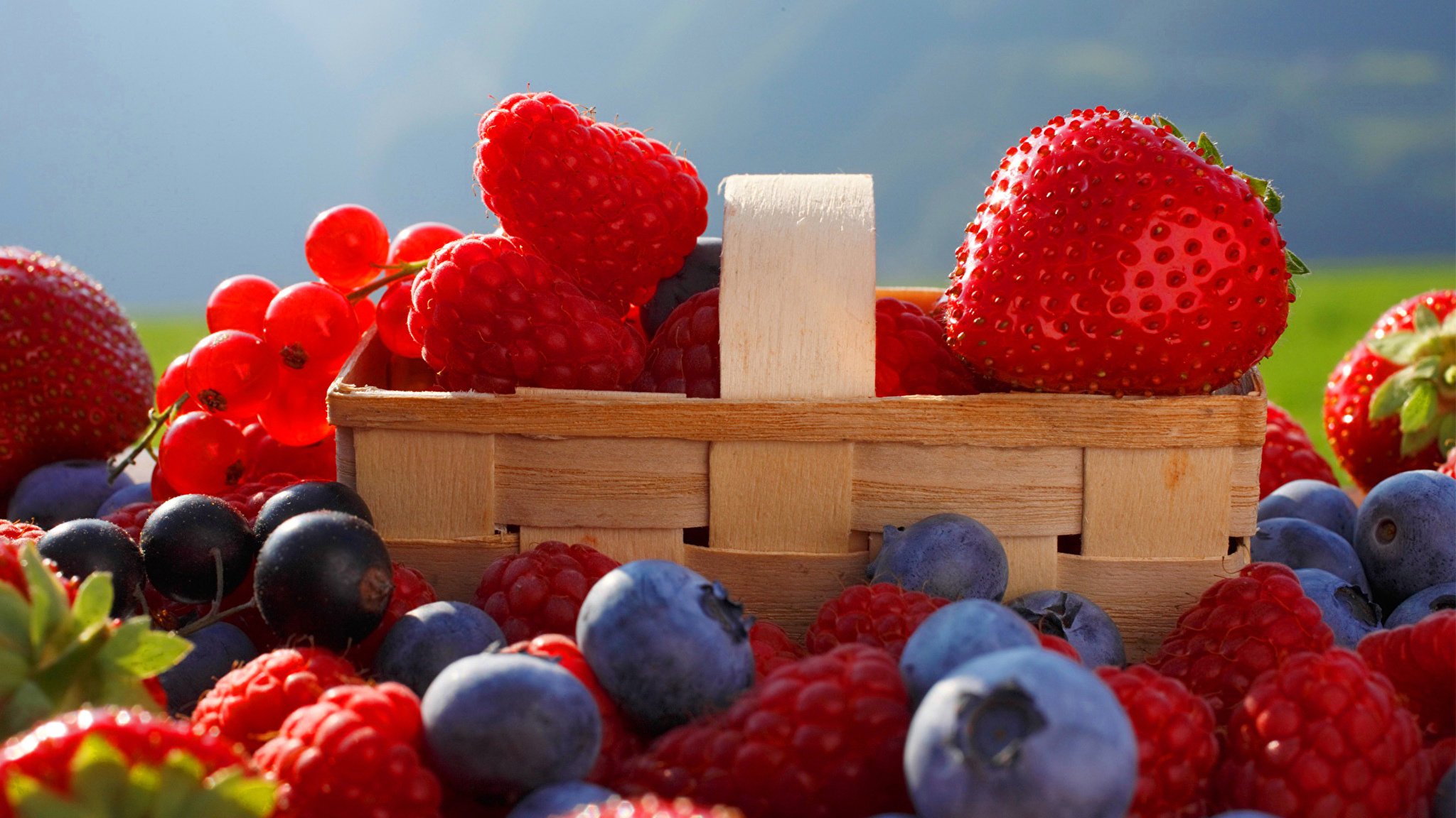 Пол ягодки. Красивые ягоды. Заставка на рабочий стол ягоды. Летние фрукты. Заставка на рабочий стол фрукты.