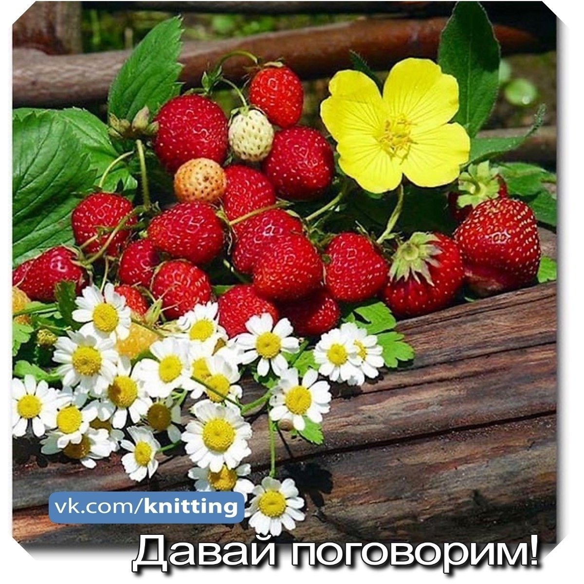 Июнь. Летние цветы. Ягоды летом. Лето ягоды. Земляника.
