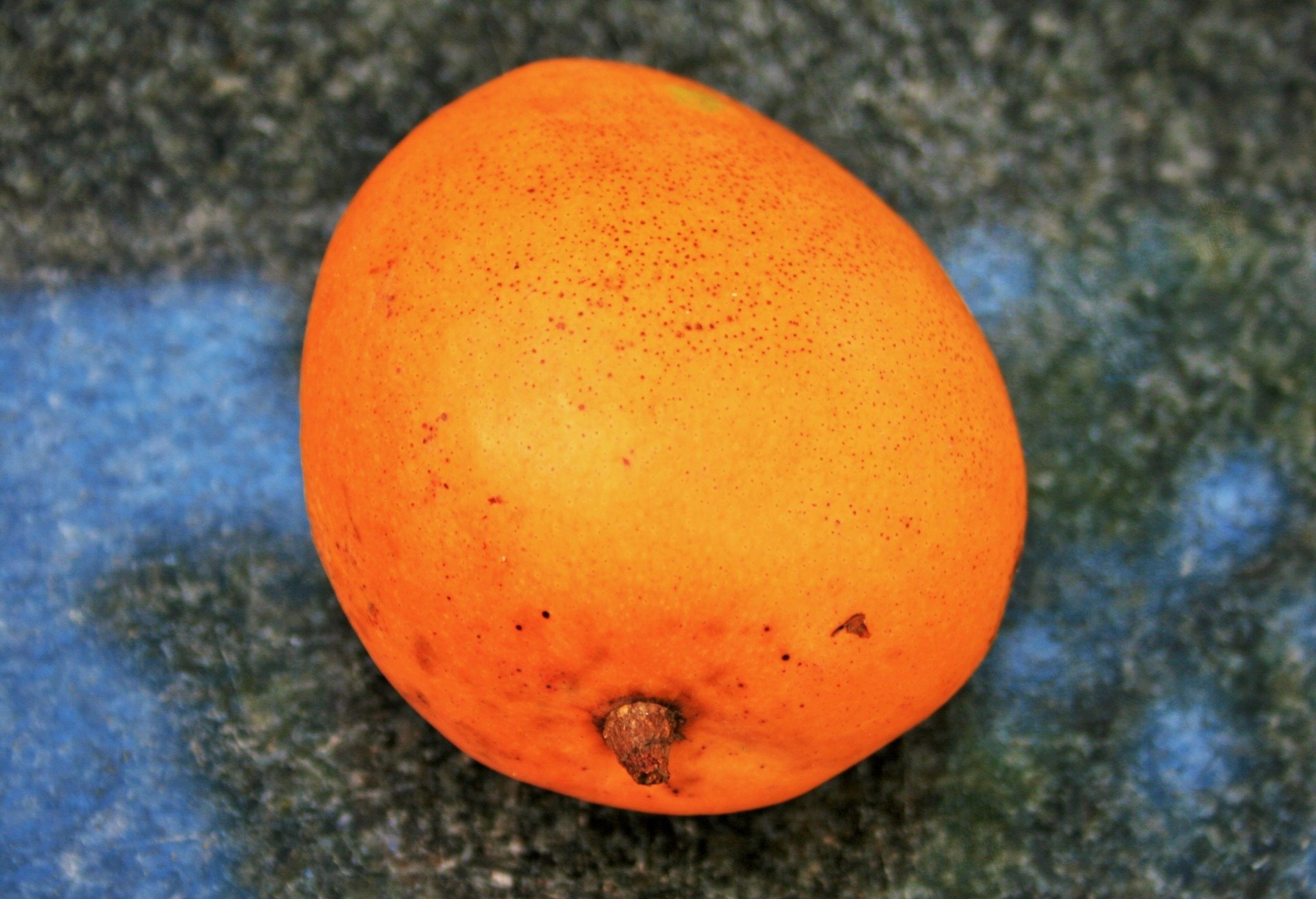 Оранжевый фрукт похожий. Фрукты оранжевого цвета. Оранжевый круглый фрукт. Оранжевый экзотический фрукт. Желтый круглый фрукт.