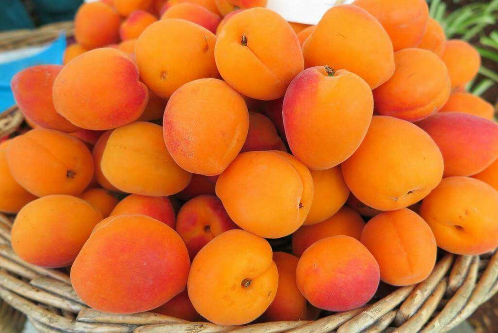 2 11 всех фруктов составляют персики. Абрикос Шалах. Кульга абрикос. Абрикос early blush. Зардолу абрикос.