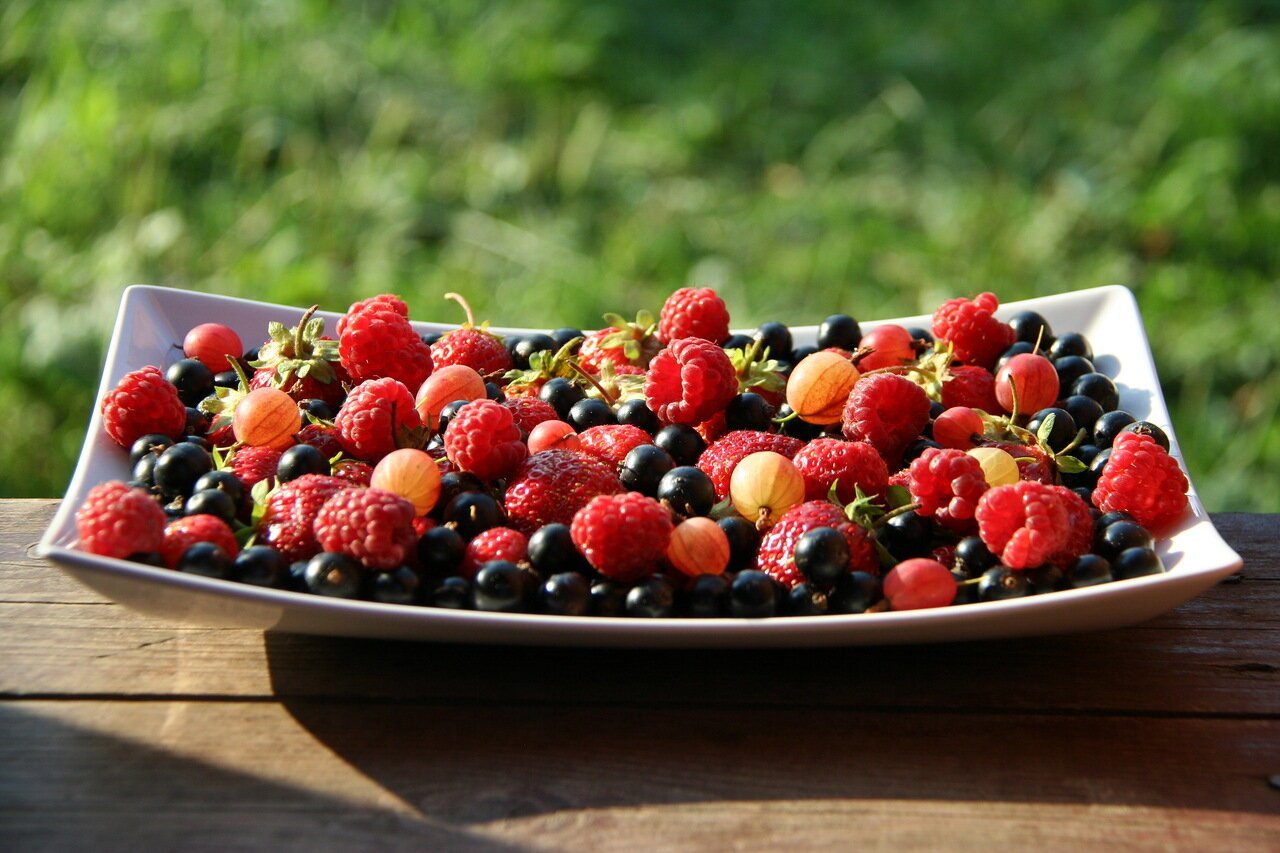 Сочные и вкусные ягоды это. Разные ягоды. Садовые ягоды. Летние ягоды. Каринка ягода.