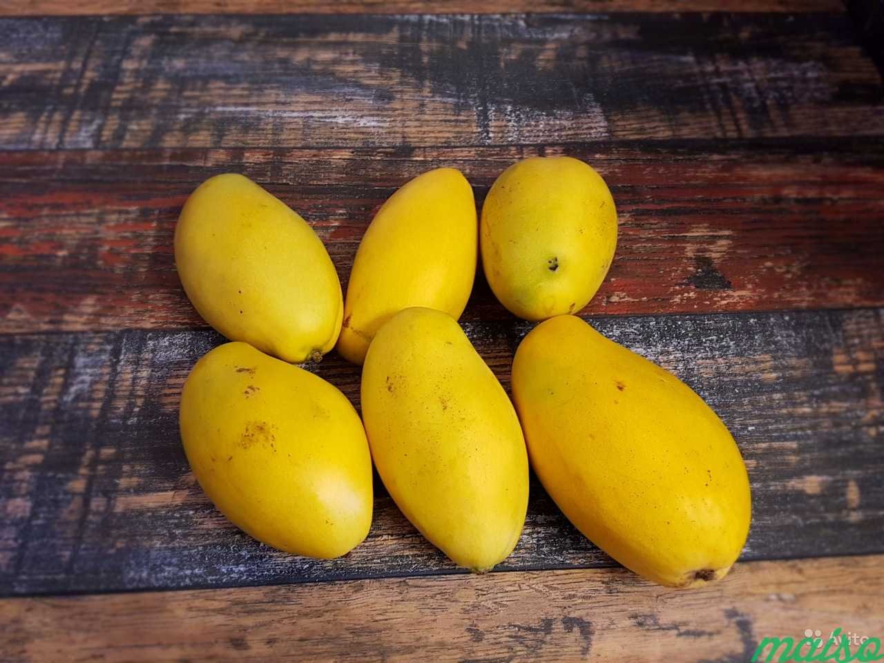 Желтые фрукты названия. Жёлтый манго из Таилнада. Жёлтый манго, в Таиланде. Авокадо желтый. Фрукты Тайланда маленькие манго.