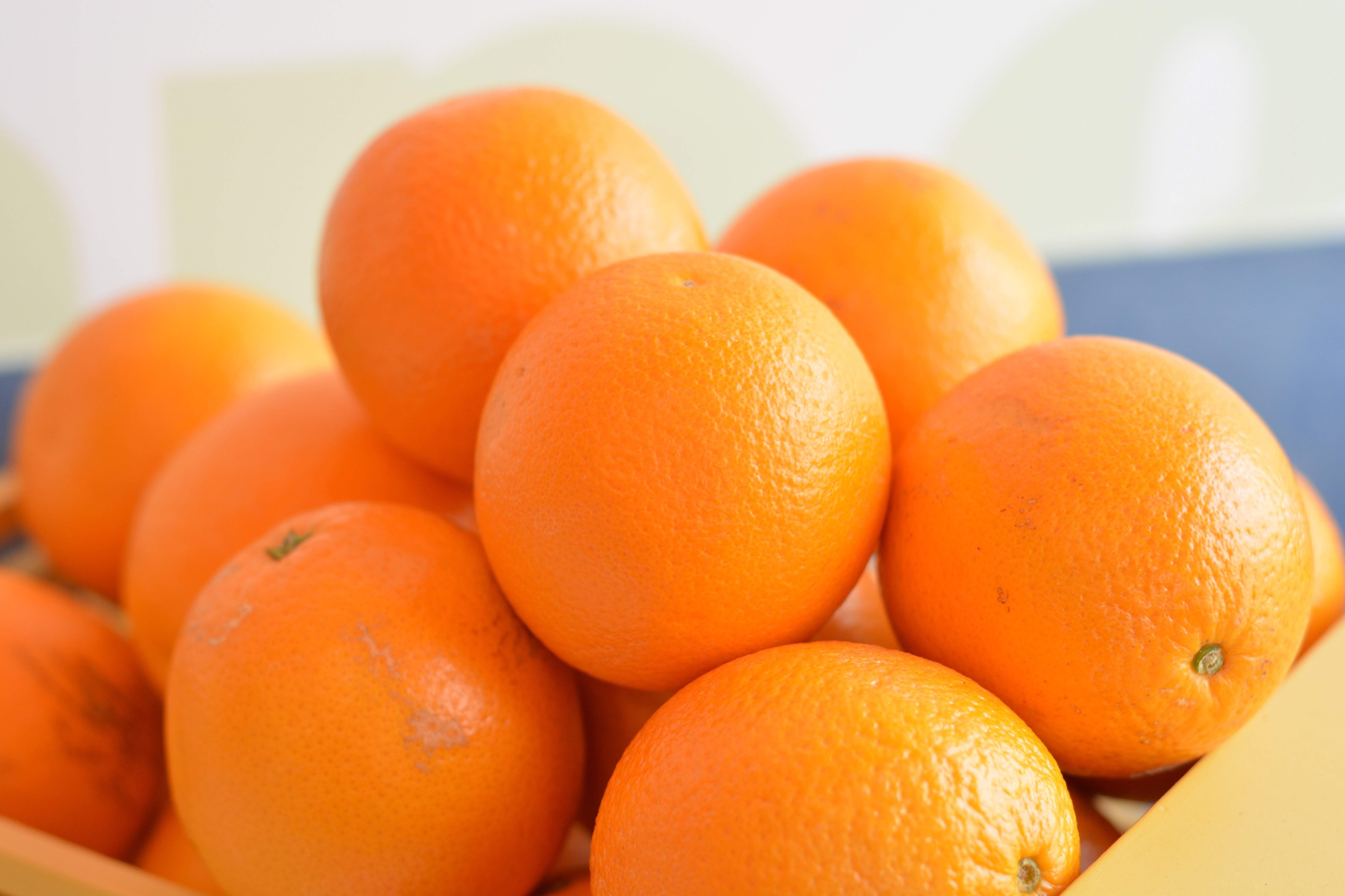 Розовый мандарин. Апельсин Citrus sinensis Arancio. Apelsin 1:1. Красивый апельсин. Фрукты оранжевого цвета.