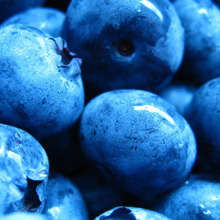 Синие свободные. Синий фрукт. Фрукты синего цвета. Ягоды синего цвета. Синие вещи.